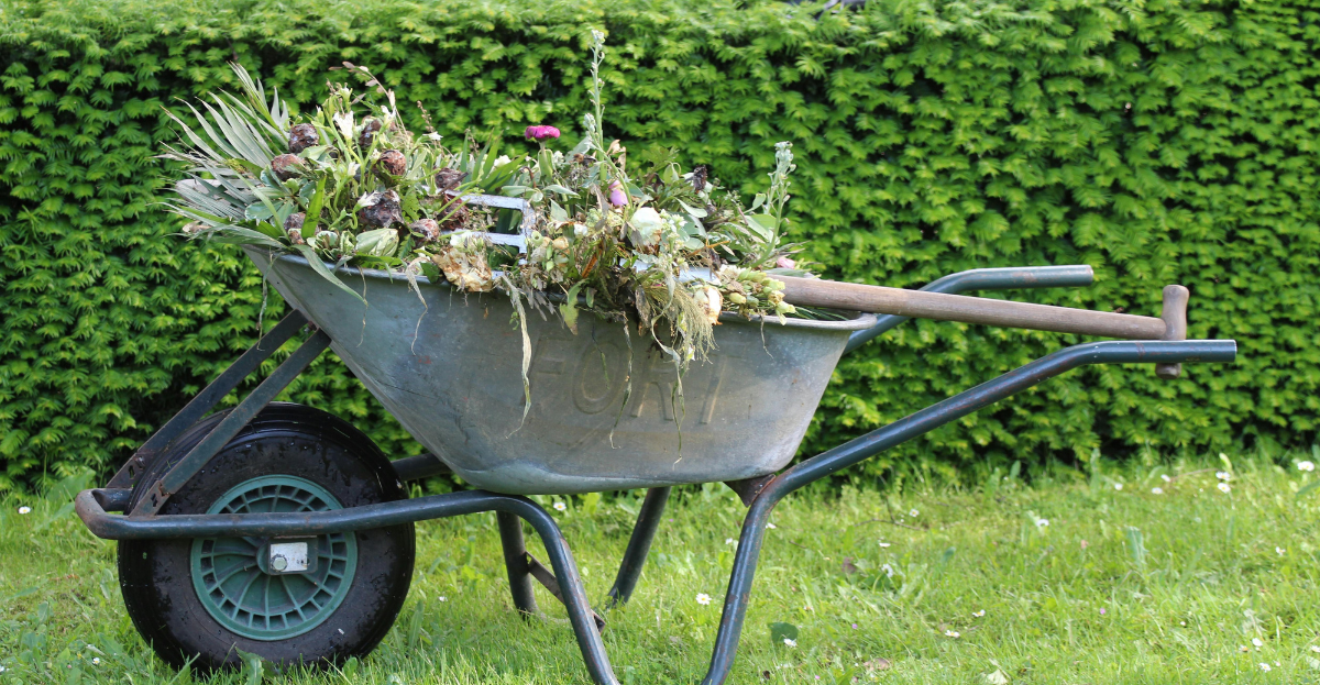 Wheel barrow full of weeds